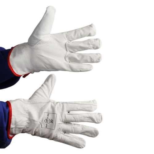 Leather glove image