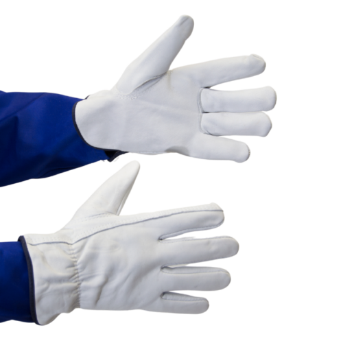 Leather-glove-image-JPG